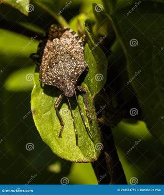 手游代理与票务代理的入门指南 从洗发手游到票务服务的全方位解析