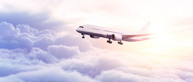 青岛优质空乘学校及票务代理服务推荐